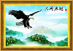 大鹏展翅