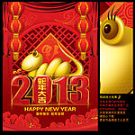 2013 蛇年