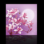 玉兰花 无框画