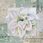 欧美风格 花卉油画