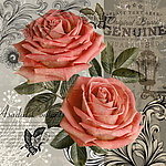 欧美风格 玫瑰花油画