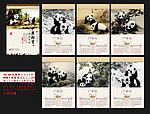 2013年中华国宝熊猫贺岁文化挂历 （位图合层）