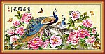 牡丹花