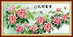 牡丹花