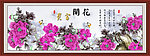 牡丹 花开富贵