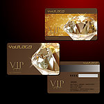 VIP卡 VIP金卡