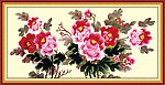 牡丹花