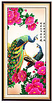 国画牡丹孔雀图