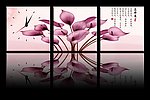 马蹄莲