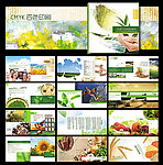 农业画册 健康 绿色 科技 农业招商加盟手册