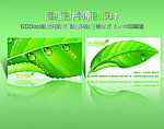 园林 名片