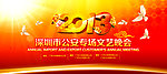 2013 蛇年2013
