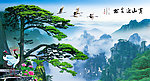 黄山迎客松