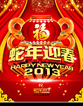 蛇年