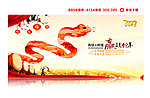2013年会