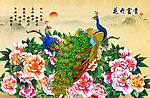 孔雀富贵图