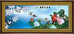 牡丹 玉兰花