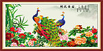 富贵花开