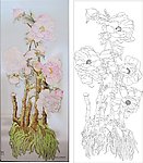 牡丹 金牡丹