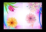 红玫菊花 美容画册封面