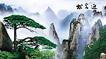 黄山迎客松