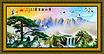 黄山迎客松