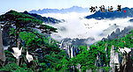 黄山迎客松