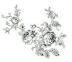 白描花