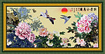 富贵花开
