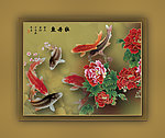 牡丹花