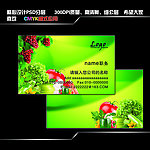 蔬菜名片