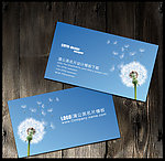 文化传播公司名片PS