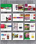 花卉画册