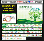 模板 PPT