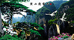 黄山迎客松