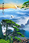 黄山迎客松
