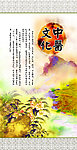 中医学