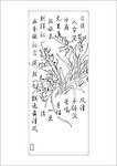 兰韵
