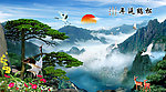 黄山迎客松