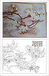 玉兰花