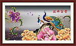 牡丹