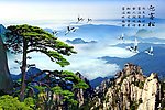 黄山迎客松 迎客松