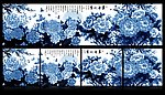 青花牡丹无框画
