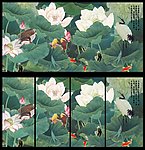 荷花