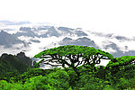 金秀圣堂山