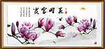玉兰花 花开富贵