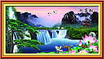 黄山迎客松