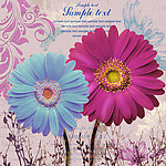 欧美风格装饰画 雏菊