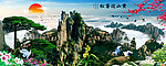 黄山迎客松