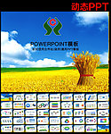 农村信用社PPT